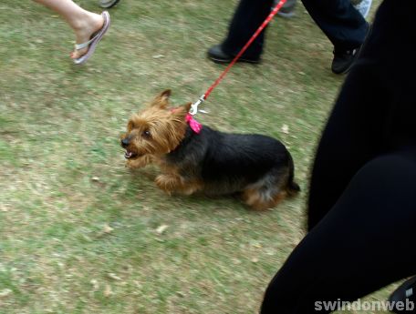 Race for Life 2010 - Saturday Gallery two