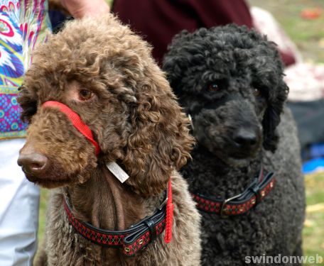 Swindon Mela 2010 - gallery two