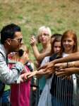 Swindon Mela 2010 - gallery three