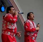 Swindon Mela 2010 - gallery three