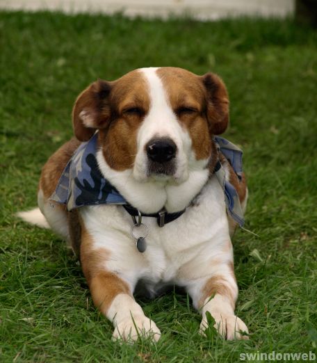 War-time weekend 2010
