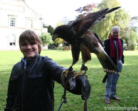 Falconry at Chiseldon House Hotel