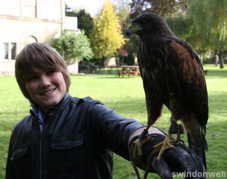Falconry at Chiseldon House Hotel