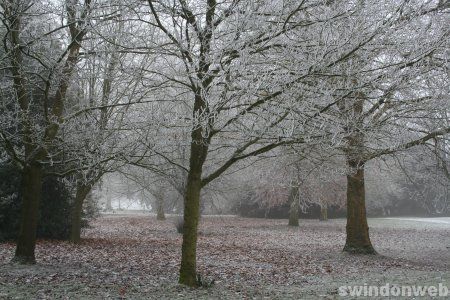 Narnia Swindon