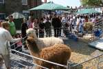 Highworth Elizabethan May Day Market 2011 - GALLERY 1