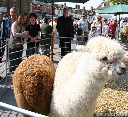 Highworth Elizabethan May Day Market 2011 - GALLERY 2