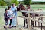 Roves Farm