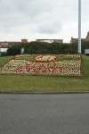 GWR Roundabout Flower Display