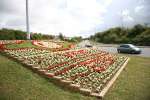 GWR Roundabout Flower Display