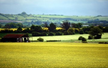 Wiltshire's hidden treasures