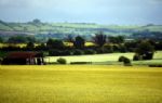 Wiltshire's hidden treasures