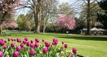 Parks and gardens