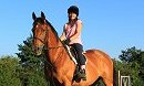Riding & Equestrian