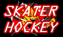 SKATER HOCKEY