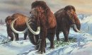 MAMMOTH DISCOVERY