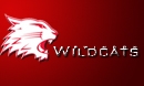 SWINDON WILDCATS