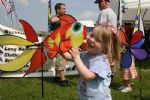 Swindon Kite Festival 2008
