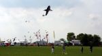 Swindon Kite Festival 2008