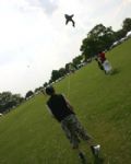 Swindon Kite Festival 2008