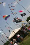 Swindon Kite Festival 2008