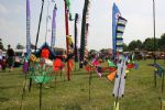 Swindon Kite Festival 2008