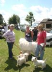 Liddington Fete and Dog Show 2008