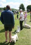 Liddington Fete and Dog Show 2008