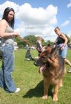 Liddington Fete and Dog Show 2008