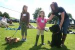 Liddington Fete and Dog Show 2008