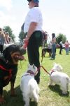 Liddington Fete and Dog Show 2008