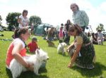 Liddington Fete and Dog Show 2008