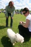 Liddington Fete and Dog Show 2008