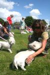 Liddington Fete and Dog Show 2008
