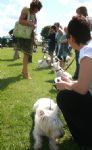 Liddington Fete and Dog Show 2008