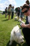 Liddington Fete and Dog Show 2008