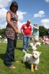 Liddington Fete and Dog Show 2008