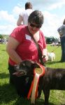 Liddington Fete and Dog Show 2008