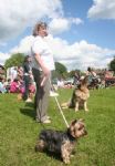 Liddington Fete and Dog Show 2008