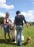 Liddington Fete and Dog Show 2008