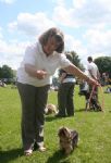 Liddington Fete and Dog Show 2008