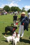 Liddington Fete and Dog Show 2008