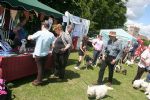 Liddington Fete and Dog Show 2008