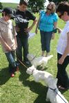 Liddington Fete and Dog Show 2008