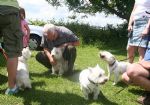 Liddington Fete and Dog Show 2008