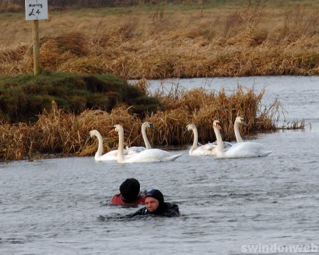 Thames Swim