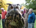 Falconry at Chiseldon House Hotel