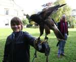 Falconry at Chiseldon House Hotel